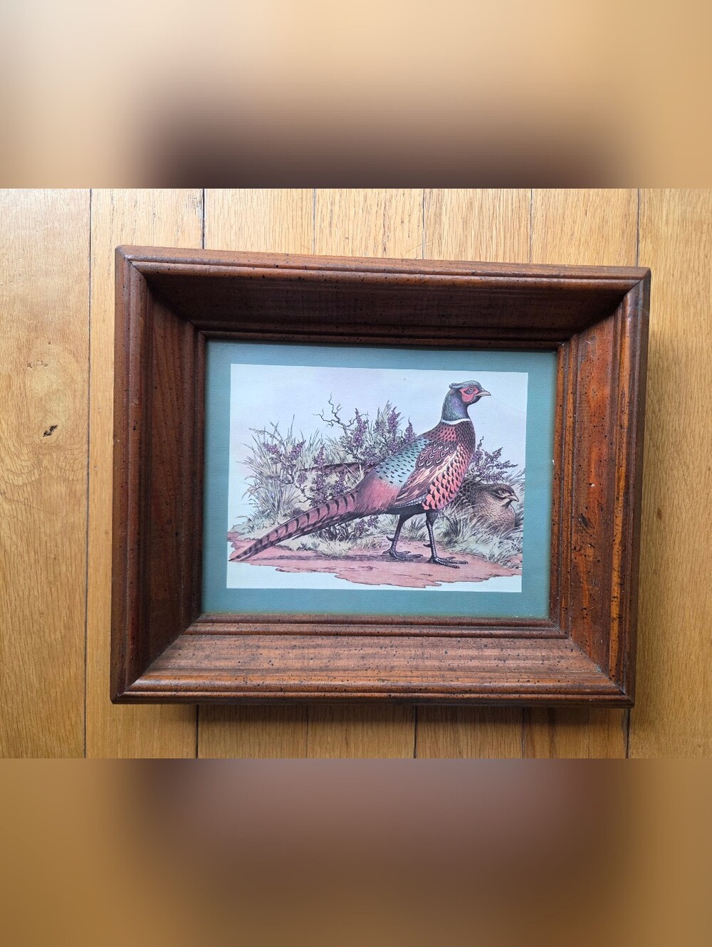 Vintage Framed Pheasant Art Print in Brown Frame